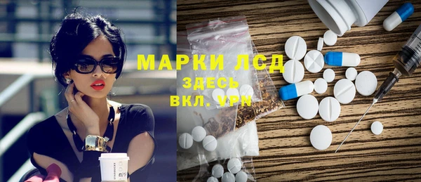 индика Аркадак