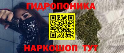 гашиш Камышлов